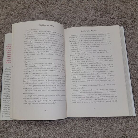 Mother on Fire Book A True Motherf%#$@ Story About Parenting by Sandra Tsing Loh - Picture 9 of 12